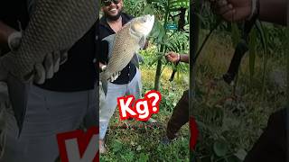 അടുത്ത കൊമ്പനെയും😱പൊക്കി മോനെgunfishing shorts [upl. by Meekyh]