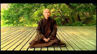 Thich Nhat Hanh about Freedom [upl. by Beauvais]