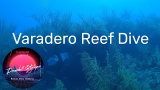 Scuba Diving Reef  Varadero Cuba [upl. by Aneras]