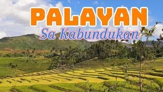 Palayan A day in the LIFE of FORESTER philippinetravel negrosoccidental [upl. by Aihsyt957]