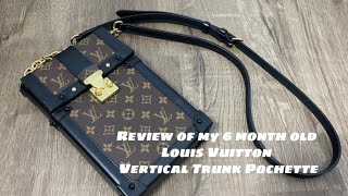 Louis Vuitton Vertical Trunk Pochette 6month review [upl. by Otsuj]