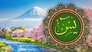 Surah yaseen ki tilawat  episode 4 [upl. by Noyr726]