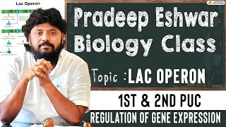 The Lac Operon  Regulation Of Gene Expression  Pradeep Eshwar Biology Class  2nd PUC [upl. by Katee831]