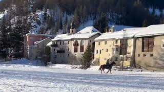 Skikjöring für Skischulkinder [upl. by Holder]