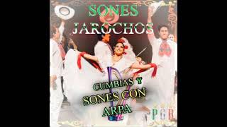 Sones jarochos 07 M [upl. by Leumhs240]