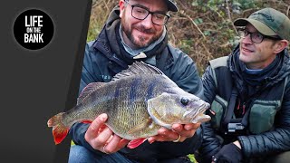 PERCH FISHING WITH LURES  How to fish a canal [upl. by Grosberg]