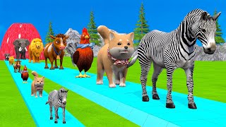 Paint amp Animals CowGorrilaElephantSheepDeerTigerLion Fountain Crossing Transformation Cartoon [upl. by Notnil]