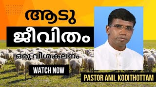 ആട് ജീവിതം  Pastor Anil Kodithottam  christian message  Malayalam [upl. by Yolanthe]