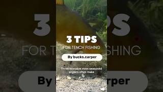 3 tips for tench fishing in 56 seconds fishing carpy tench tenchfishing [upl. by Najar]