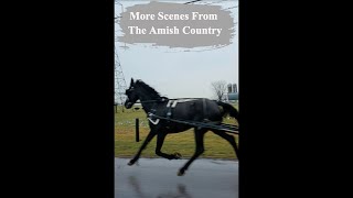 Lancaster Pa Journey Into The Breathtaking Amish Country [upl. by Nylanej]