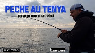 Pêche au Tenya  Session multiespèces [upl. by Anastatius]