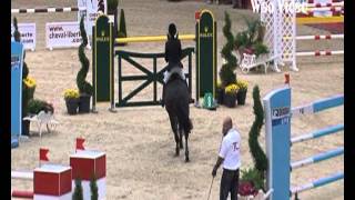 Edwina Alexander and Vleut 1st round Equita Masters [upl. by Ettelracs]