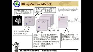 CapsNet5 Reconstruction [upl. by Lyrej327]