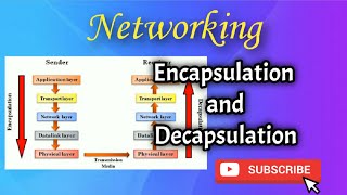 Encapsulation and Decapsulation in Networking  Networking  Tamil [upl. by Orelee]