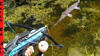 CROSSBOW FISHING for INVASIVE IGUANA and FISH [upl. by Neiht404]