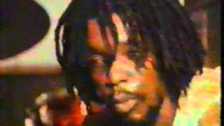 Peter Tosh  Legalize It  1976 [upl. by Hagile374]