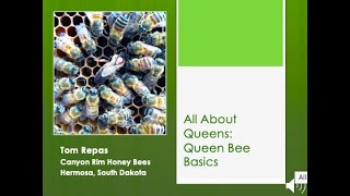 2 All About Queens Queen Bee Basics [upl. by Negrom945]