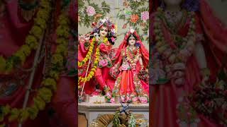 🙏🌺Joy shree radhe krishna 🌺🙏 [upl. by Kokaras475]