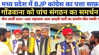 MP News  BSP गोंडवाना का गठबंधन  भीम आर्मी ओबीसी महासभा का समर्थन  BJP कांग्रेस का पत्ता साफ़ [upl. by Vitus]