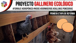 🐔 COMO CONSTRUIMOS nuestro GALLINERO ECOLÓGICO ⭐ Consejos ideas y medidas para hacer tu gallinero [upl. by Ornas]