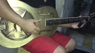 Aiersi Brand Golden Bell Duolian Resonator Guitar A39BGC [upl. by Lunetta]