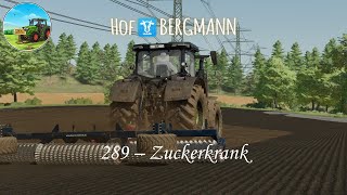 LS22 Hof Bergmann 289 – Zuckerkrank [upl. by Refinneg]