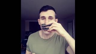 4 Harmonica Beatbox Jamming [upl. by Menard]