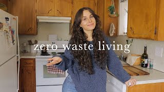 My Zero Waste Kitchen Tour amp Essential Swaps  REALISTIC [upl. by Piefer]