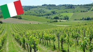 BEAUTIFUL TUSCANY VINEYARDS AND WINERY ITALY [upl. by Blaise32]