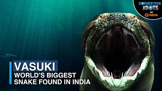 From Myth to Reality World’s Biggest Snake ‘Vasuki’ Discovered in India  Connecting The Dots [upl. by Aihsele]