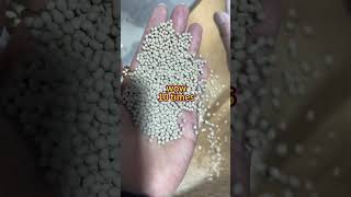 Customer Case ShareLettuce seed pelletmachine farming vegetables seeds lettuce factory agro [upl. by Aliuqaj359]