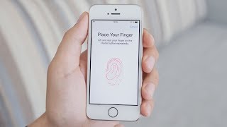 How Does Fingerprint Scanning Work [upl. by Staal540]