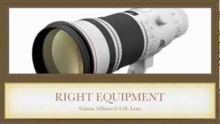 Lens For Wildlife Photography  Best Lens For Wildlife Photography [upl. by Assenav]