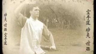 Tim Gaskell amp Chen Style Tai Chi  Guangxi Napa MMA Martial Arts TaiChi [upl. by Areikahs781]