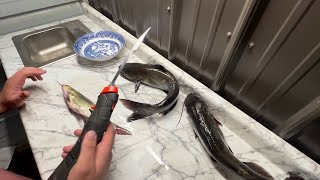 The EASIEST way to clean CATFISH [upl. by Fielding]