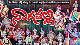 Journey to Karnatakas Cultural Gem Perdoor Mela Nagavalis Yakshagana Delights [upl. by Dynah587]