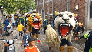 Kirab Arak arakan Barongan Canmacanan New Pandawa Di Duduk Kalikondang Demak [upl. by Coh43]