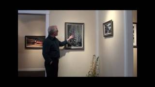 Artist Terry Isaac at Ashleys Art Gallery [upl. by Wrand]