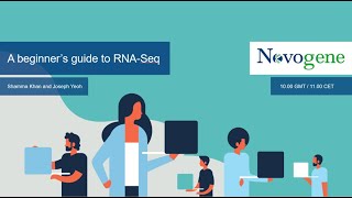 A Beginners Guide to RNASeq [upl. by Odrahcir]