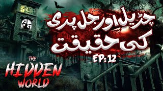 The Hidden World Web Series Last Episode  Churail aur Jal Pari Ki Haqeeqat  Churail Ka Waqia [upl. by Cobb871]