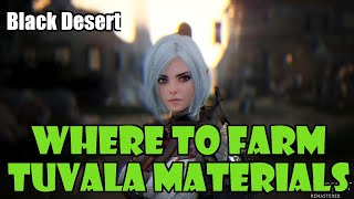 Black Desert Where to Farm Time Filled Black Stones Refined Magical Black Stones and Tuvala Ore [upl. by Ellatnahc]