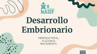 UNIDAD 29 2 Desarrollo Embrionario Gastrulación Período Embrionario y Fetal Nacimiento  TN [upl. by Neerom]