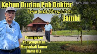 Kebun Durian Dr Riadi Ali JambiUsia 22Bulan Sudah Sebesar iniBegini Cara Rawatnya… [upl. by Leitao]