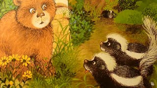 ZOTTELBÄR UND DIE STINKTIERE  SCHÖNE KINDERGESCHICHTE MIT MUSIK  GUTE NACHTVORLESEN WaldTiere [upl. by Akerley]