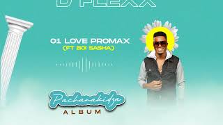 DFlexx  Love Promax Official Audio ft Boi Sasha [upl. by Sivatnod]