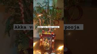 Maa inte Tulasi Pooja Ela undi comment lo pettandi [upl. by Ellene]