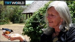 Conservationist Kuki Gallmann shot and injured in Kenya [upl. by Yennej]