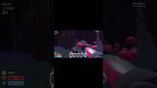 Slime Rancher Achievement Controlling the Chaos [upl. by Enyawud]