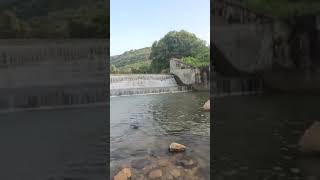 Ranthambore National Park morning 🌧️🏞️🌿 viralvideo [upl. by Desiree]