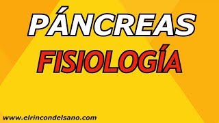 Páncreas  Fisiología Funciones endocrina y exocrina [upl. by Atnamas]